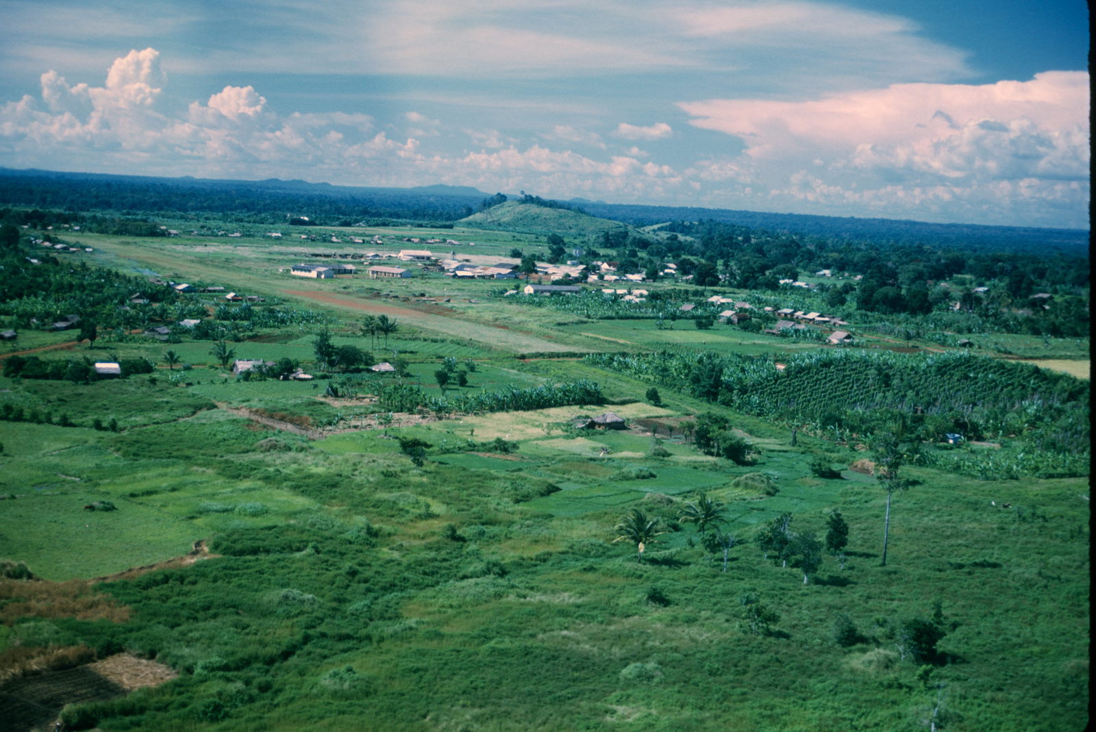 Scan-081109-0005