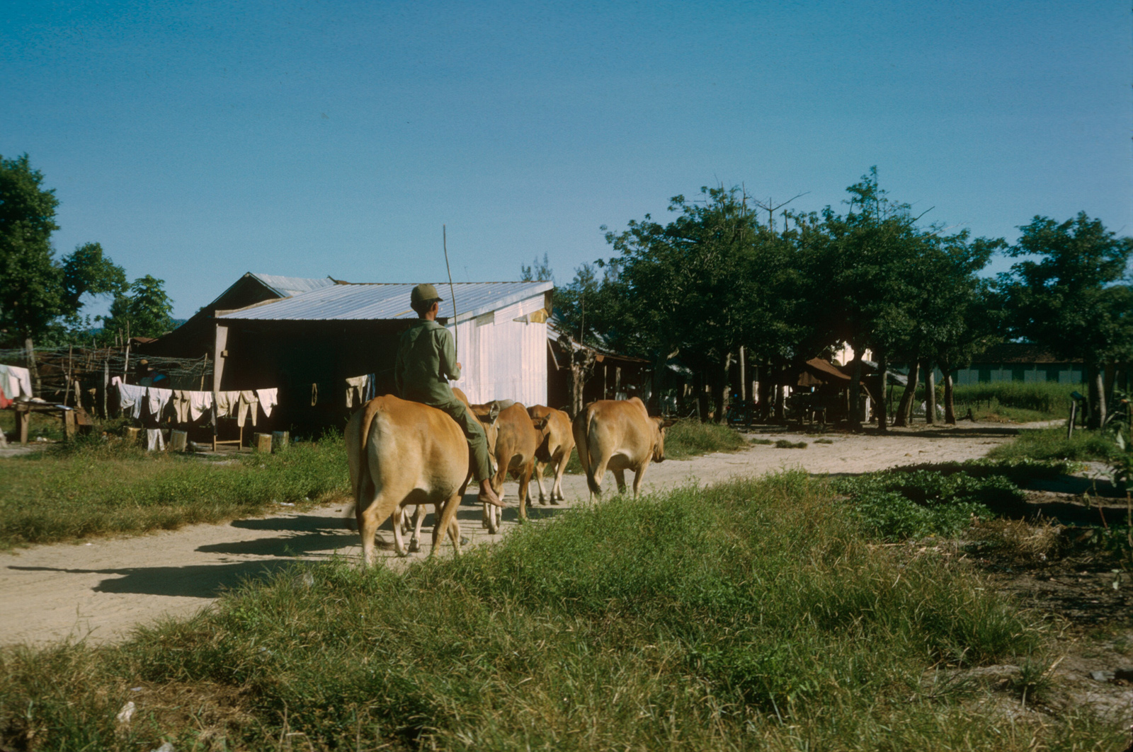Scan-081109-0011