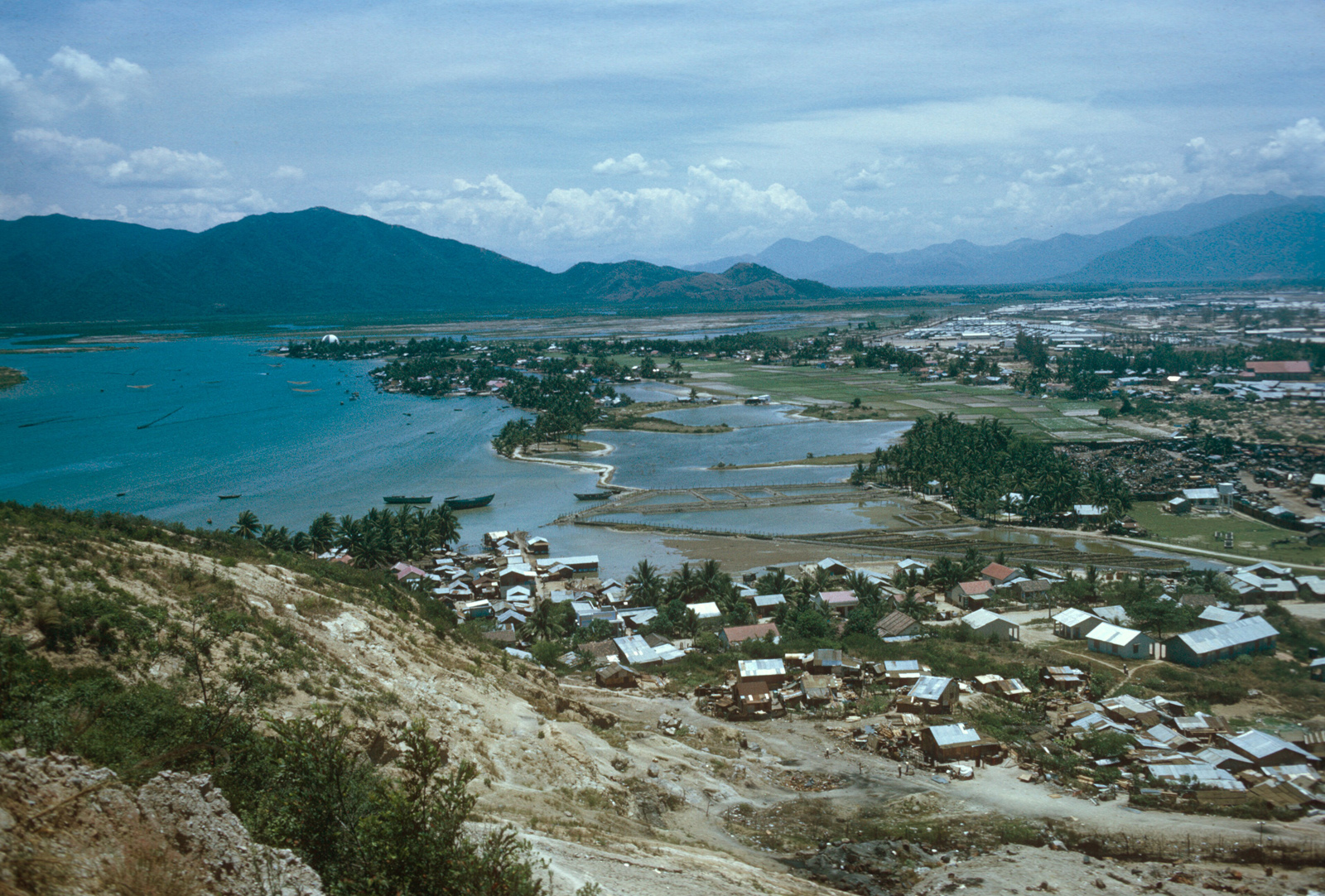 Scan-081109-0018