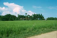 Scan-081109-0008