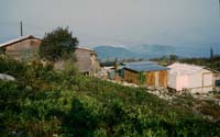 Scan-081113-0031