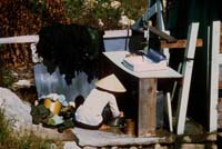 Scan-081113-0032