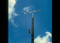 Scan-081114-0013