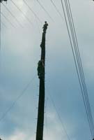 Scan-081114-0020