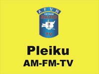 001-0--PleikuTitle